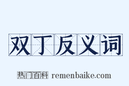 双丁反义词是什么意思的图片